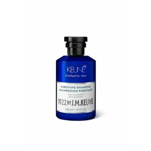Sampon anti-matreata grasa - 250 ml imagine