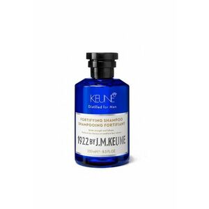 Sampon barbati anti-caderea parului 1922 Fortifying Shampoo - 250 ml imagine
