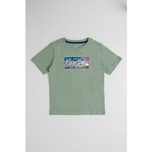 Tricou cu imprimeu logo Colton imagine