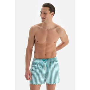 Pantaloni scurti de baie cu imprimeu cu dungi si snur imagine