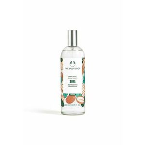 Spray de corp - 100 ml imagine