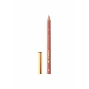 Creion de buze Color Riche - 1.2 g imagine