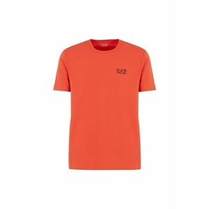 Tricou pentru Drumetie - 8NPT26-PJVQZ-1672 - Alb imagine