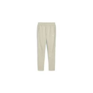 PANTALONI Puma EVOSTRIPE PANTS imagine