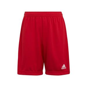Pantaloni scurti pentru fotbal ENT22 imagine