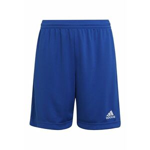 Pantaloni scurti pentru fotbal ENT22 imagine