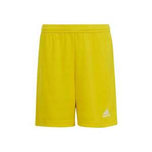 Pantaloni sport Galben imagine