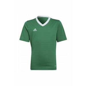 Tricou copii - Poliester - Verde/Alb - imagine