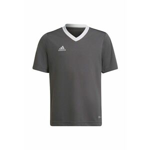 Tricou pentru copii - Entrada - Poliester - Gri - 164cm imagine
