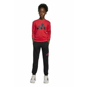 Set de bluza si pantaloni de trening cu logo imagine
