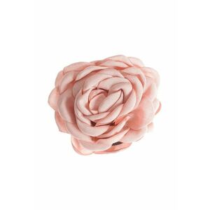 Cleste de par floare roz - Paris imagine