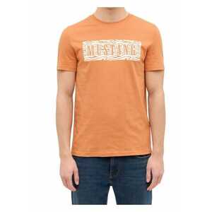 Tricou regular fit din bumbac Austin 1015070 imagine