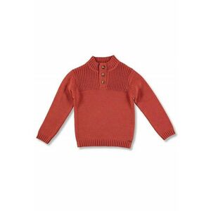 Pulover cu nasturi - baieti - 51777 imagine