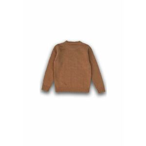 Pulover pentru baieti - 51737 imagine