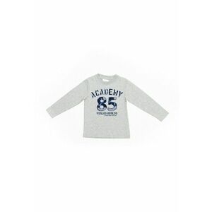 Bluza cu imprimeu - Academy - baieti - 34720 - Gri - imagine