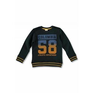 Pulover tip bluza - baieti - 22771 imagine