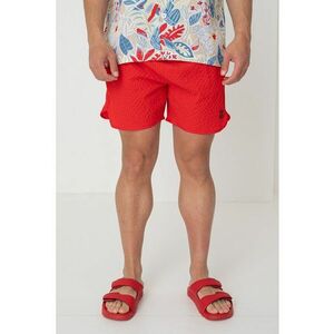Pantaloni scurti de baie cu logo imagine