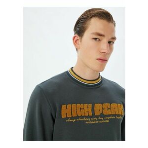 Bluza de trening cu text texturat imagine