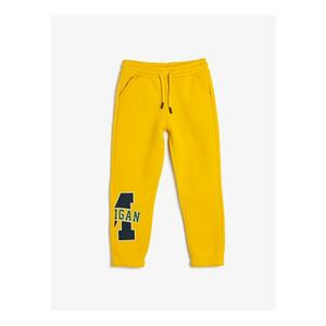 Pantaloni de trening cu snur de ajustare si imprimeu text imagine