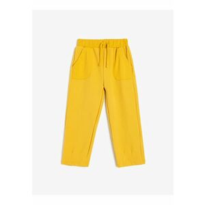 Pantaloni de trening striati cu snur de ajustare in talie imagine