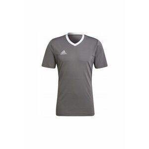 Tricou sport barbati - Poliester - Gri imagine