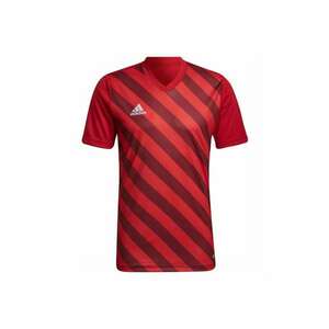 Tricou sport barbati - Entrada 22 - Poliester - Rosu imagine