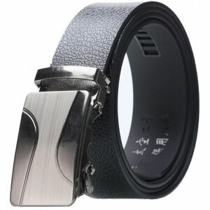 Belt Max - Argintiu/Tip2 KP16219 imagine