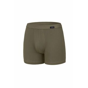 Boxeri pentru bărbați 220 Authentic khaki imagine