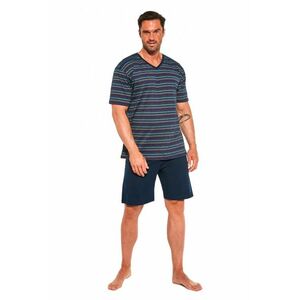Pijama pentru bărbați 330/20 Various imagine