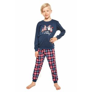 Pijamale pentru băieți 966/122 Gnomes imagine