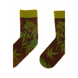 Șosete de damă 80 Funny herbs imagine