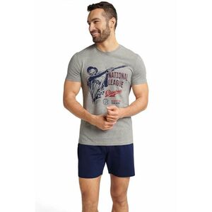 Pijama pentru bărbați 40676 Flair imagine