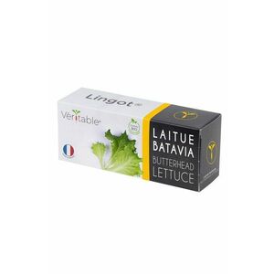 Veritable - Insertie de seminte salata verde imagine