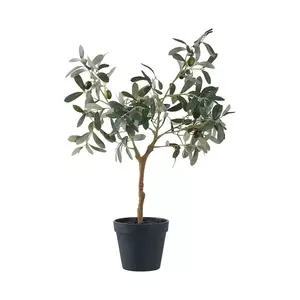 House Nordic plantă artificială în ghiveci Olive Tree culoarea verde imagine