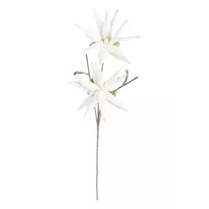 Bizzotto flori artificiale White Aloe Chinesis culoarea alb imagine