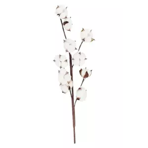 Bizzotto plantă artificială Georgie Cotton imagine