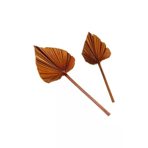 Boltze decorație Areca 2-pack culoarea portocaliu imagine