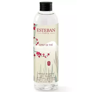 Esteban difuser de arome Esprit de thé 250 ml imagine