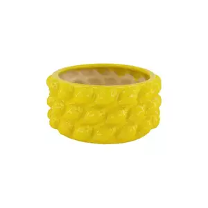 capac de oală 26 x 26 x 12, 5 cm culoarea galben imagine