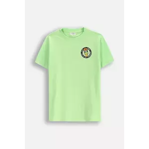 Coccodrillo tricou de bumbac pentru copii culoarea verde, cu imprimeu, EVERYDAY BOY imagine