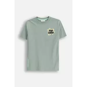 Coccodrillo tricou de bumbac pentru copii culoarea verde, cu imprimeu, EVERYDAY BOY imagine