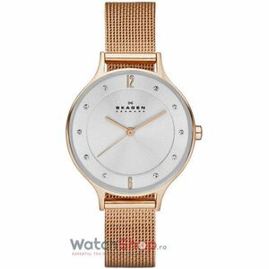 Ceas Skagen STEEL SKW2151 imagine