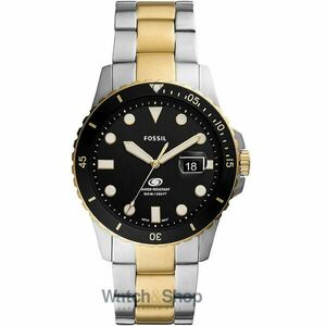 Ceas Fossil FS5951 imagine