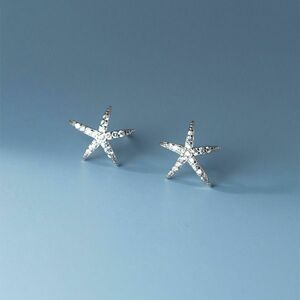 Cercei din argint Silver Sea Star imagine