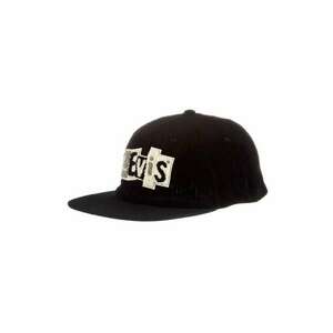 Sapca ajustabila striata Skate imagine