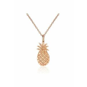 Colier de otel inoxidabil cu pandantiv in forma de ananas DÉLICE imagine