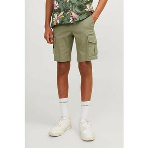 Bermude cargo Joe imagine