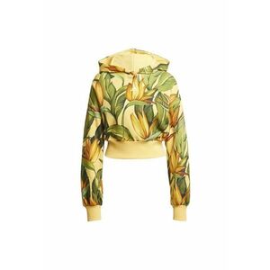 Hanorac FARM HOODIE JD6282 imagine