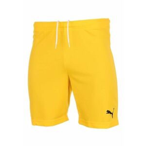 Pantaloni Scurti Team Rise 704942-07 - Barbati - Galben imagine