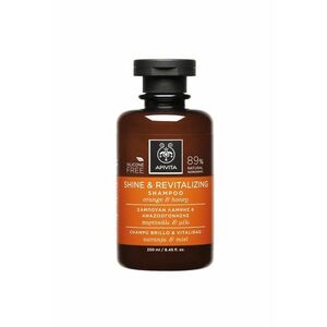 Sampon revitalizant pentru stralucirea parului - 250 ml imagine